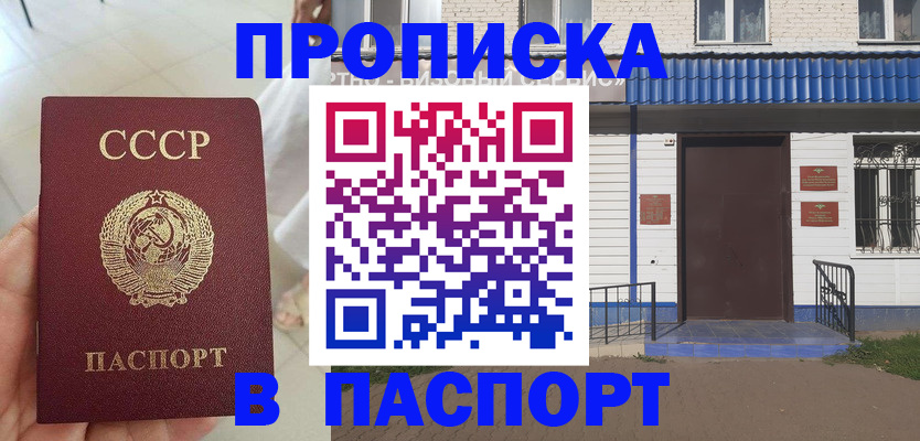 прописка для школы в Лобне